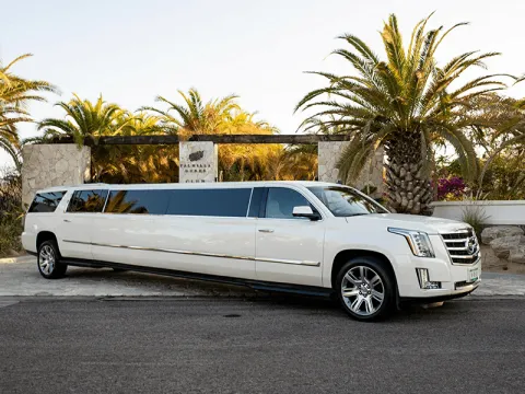 Limousine